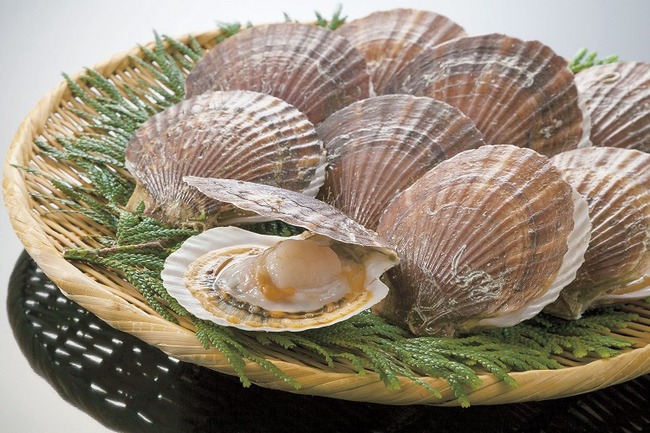 政府「ホタテを1人年に5つぶ食べましょう！」