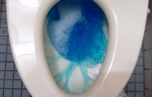 【マジ注意】「やべ、トイレ掃除中にうっかりブルーレットを落としちゃった……」　→　結果、ガチで最悪の事態に！　お前らは絶対に気をつけろおおお！！