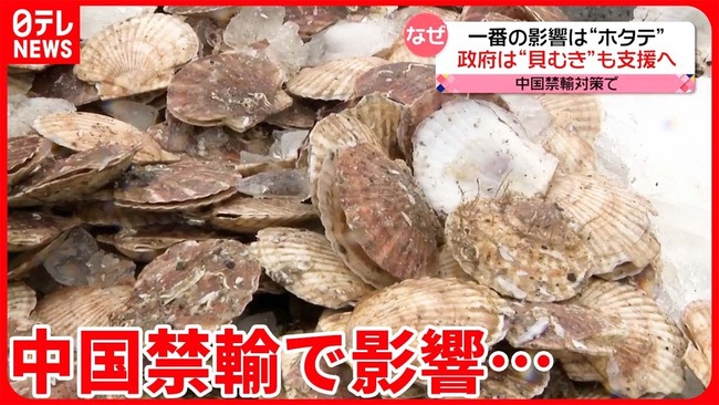 日本政府「中国に禁輸された水産物さぁ～学校給食や自衛隊に提供しようと思うんだけどどうｗ？」