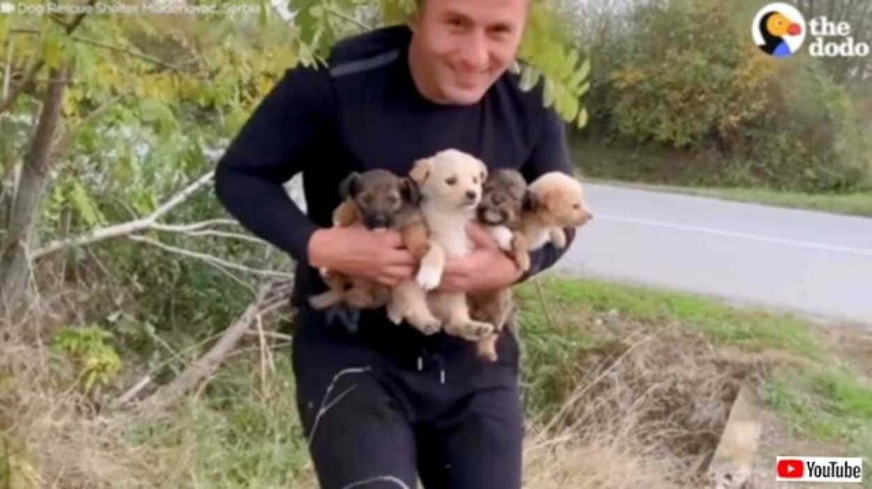 車の行きかう路上に子犬たちが！捨てられた4匹の子犬、無事に保護されそれぞれ温かい家庭に引き取られる