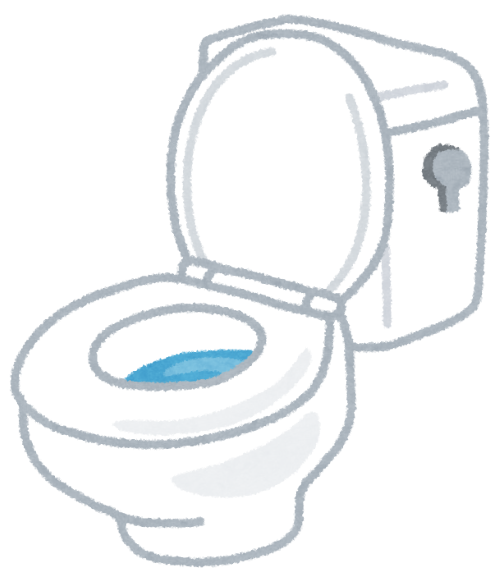 ブルーレット置くだけのプラスチックの部分、トイレに落として流しちゃった！→高額な修理代を払う羽目に・・・