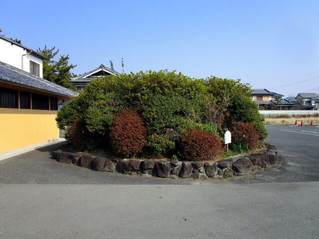 法隆寺の駐車場にある小さな植え込み、「古墳かも」と冗談で言われてたが本当に古墳である事が判明