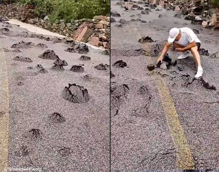 どうしてこうなった？洪水の後、道路がふくれあがり無数の石が生まれる