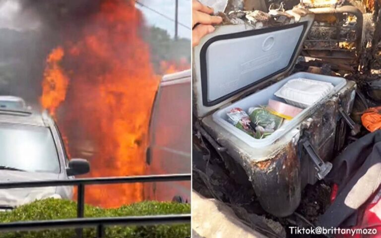 クーラーボックス強し！火災に巻き込まれ車が全焼するも、クーラーボックスの中身だけ無傷だった