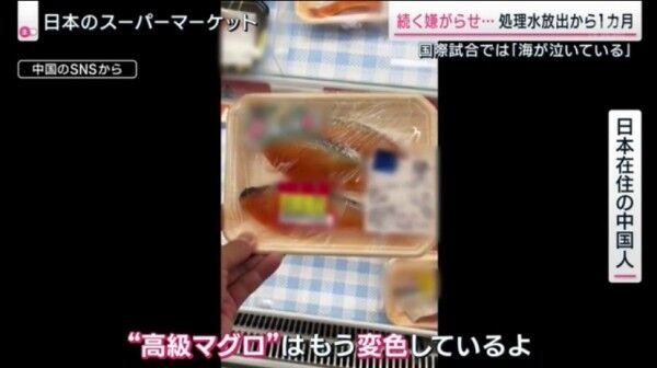 中国人「この高級マグロ…放射線のせいで変色してるよ…」どう見てもシャケの切り身だと話題