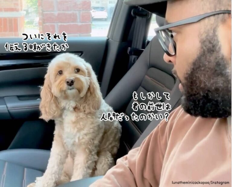 ついに伝える時がきたか！前世は人間だったことを問われた犬の驚きの反応