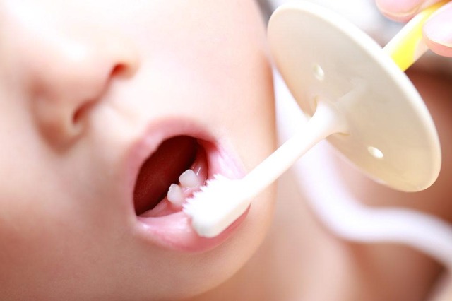 日本口腔衛生学会「赤ちゃんを虫歯にさせないために食器を別けるアレ、あんま意味ないで。むしろ免疫下がるかも」」