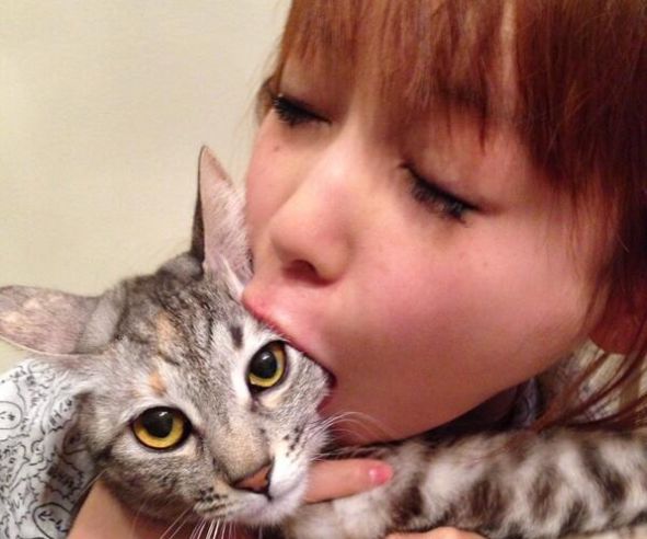 猫好きで有名なしょこたん、限界突破