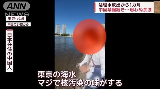 在日中国人「ペッ！東京の海水、マジで核汚染の味がする！！」