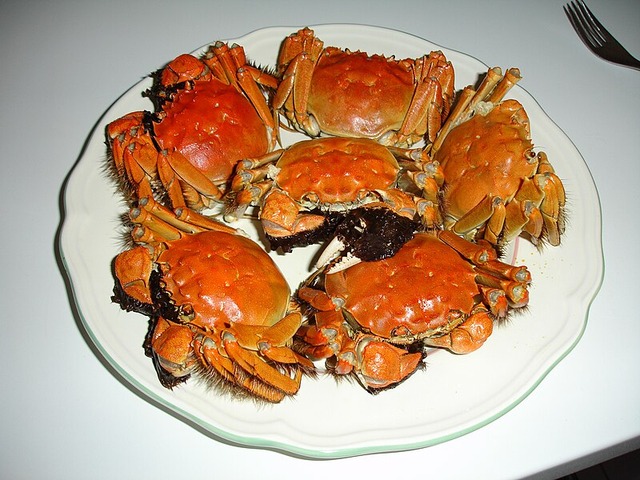 上海ガニを食べた娘のお腹を線量計で測ると基準値超え　中国メディア「一般市民が線量計を買うな」