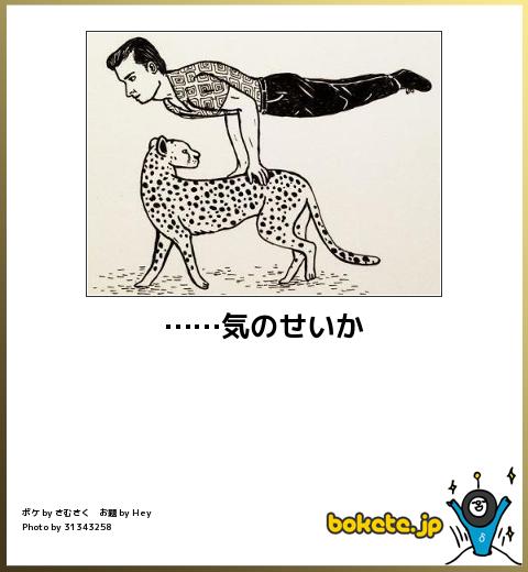 爆笑した画像を貼るのだ『デカイけど甘えん坊のウルフドッグ可愛い』
