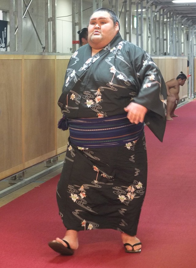【画像】彡(^)(^)「四股踏んでたんか ちっちゃい力士に見えたわｗｗｗｗｗｗ」