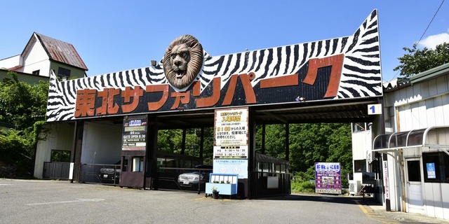 東北サファリパークで”ライオンにかまれた”とみられる男性従業員が死亡「檻の中で首から血を流して…」