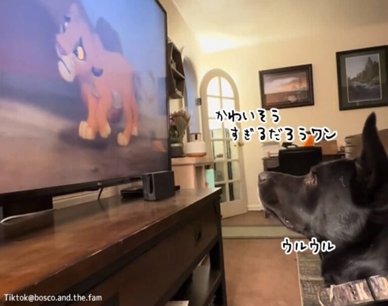 ライオンキングの父の最期のシーンを見て悲しみの声を上げる犬