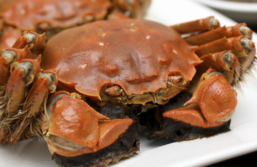 淡水性の上海ガニを食べた中国人、お腹を線量計で測ると基準値を超え → 中国メディア「一般人は線量計買うな！！」