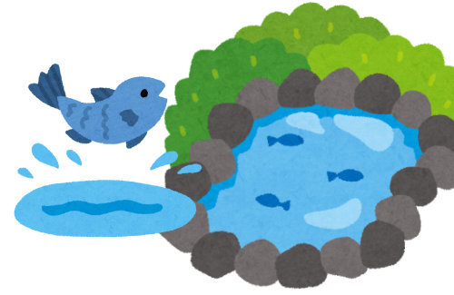 【原因不明】秋田県のため池でコイやナマズなど魚500匹以上が大量死しているのが見つかる・・・