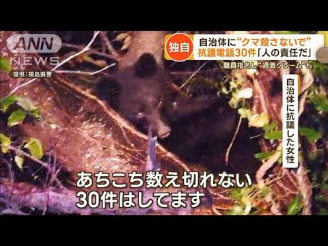 【取材】クマ駆除に抗議電話30件した女性「クマは悪くない。人の責任。山に近いお住まいの方は番犬飼えば…私は都市部に住んでる」