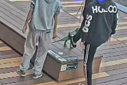約1億円かけて設置された恐竜のモニュメントをキックで破壊した高校生（16）を書類送検  施設側は今後、修復にかかる費用を請求へ