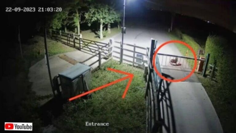 愛護団体の門の外に、誰かが犬を捨てて行った？警備員に保護された犬、ハッピーな犬生を手に入れる