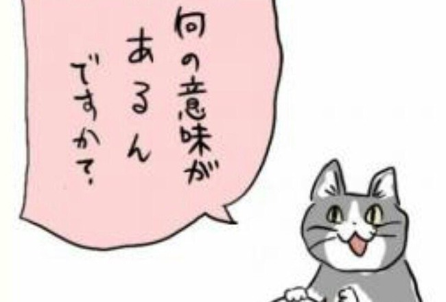 性的同意アプリさん、同意した日から2日間は同意取消しできる機能を追加してリリース！！