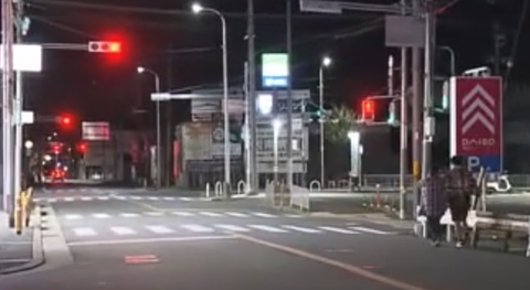 「信号待ちをしていたら文句言われた」堺市で76歳男性が19歳の男に殴られ死亡　車を停めてマンションまで追いかける