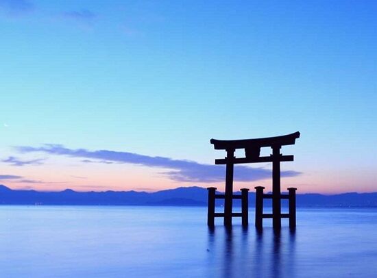 琵琶湖、マジでピンチかもしれない・・・