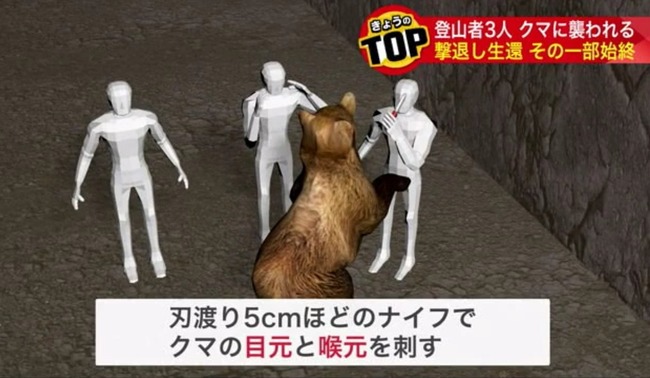 【北海道】消防士3人で登山中、ヒグマの襲撃を受ける → 刃渡り5cmのナイフで応戦しヒグマに勝利