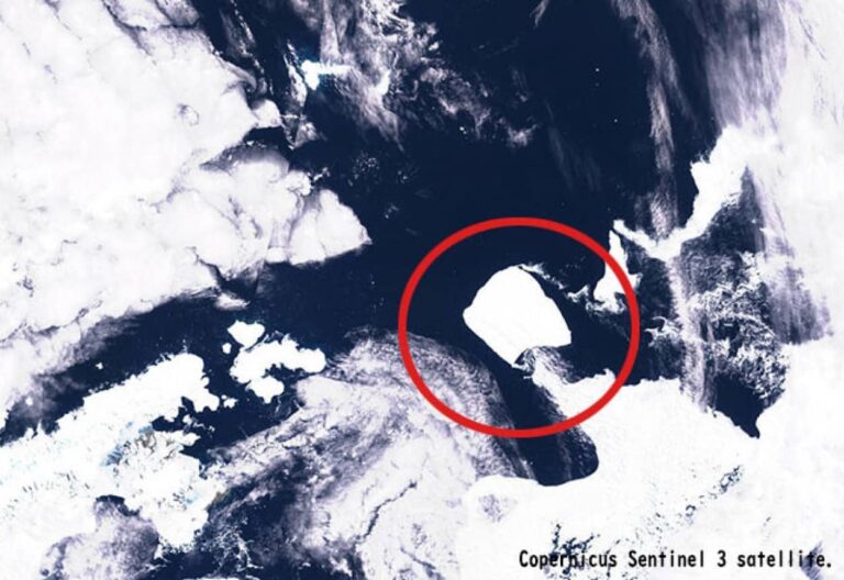 東京都の約2倍、世界最大の氷山が35年ぶりに移動。南極海の外へ流れ出ようとしている