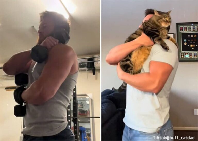 男性が筋肉を鍛えている理由、それは猫。