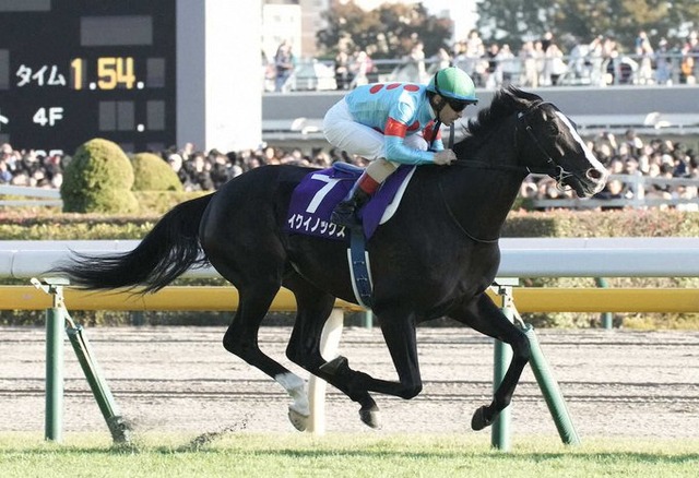【競馬】『ジャパンカップ』イクイノックスが制し破竹のG1・6連勝！！総賞金歴代1位に！！！