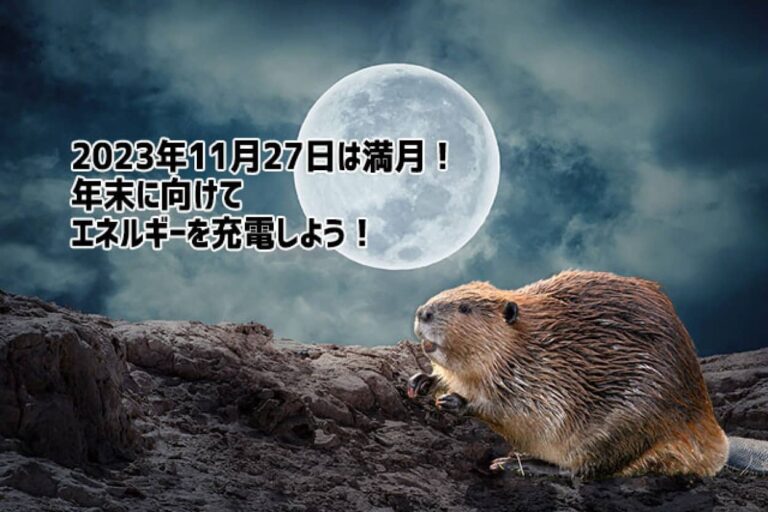 2023年11月27日は満月！年末に向けてエネルギーの充電タイム