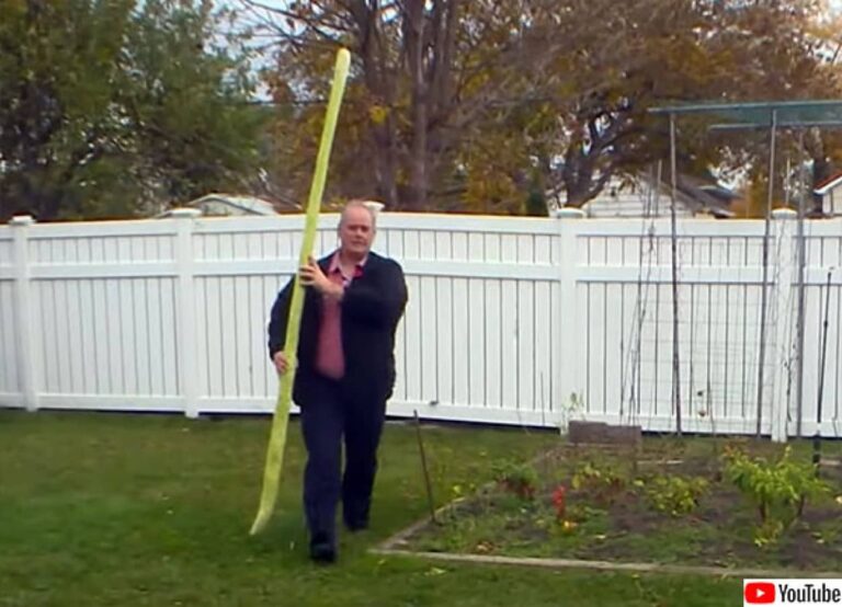 2.56ｍ！世界一長いズッキーニがカナダで誕生。ギネス記録申請中