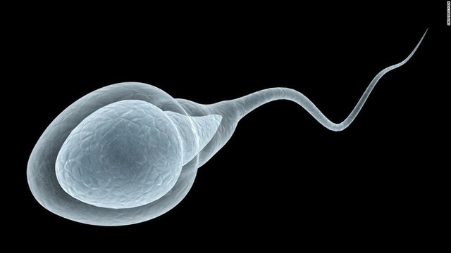 【悲報】世界中で精子の数が激減 →スマホが原因だった・・・