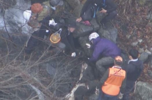 【悲報】死亡しているヒグマの体内から人間の遺体が見つかる → 男子大学生がヒグマに食べられていたことが判明…