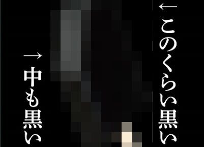 中も外も超真っ黒なアイス「漆黒のチーズケーキ」が販売される！想像の3倍黒いわ