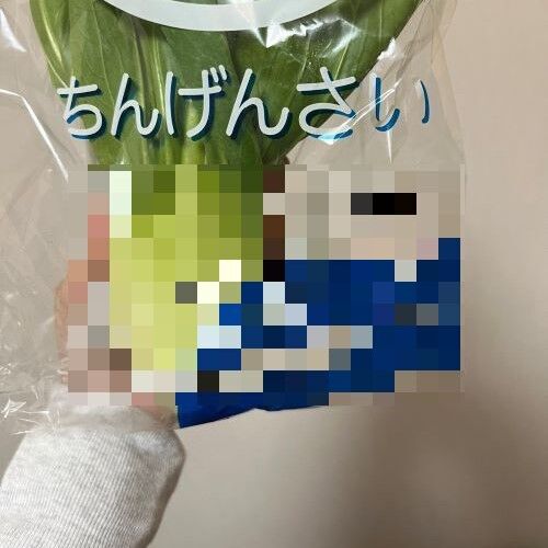 【ggrks】あまりにも他力本願なパッケージ、見つかる