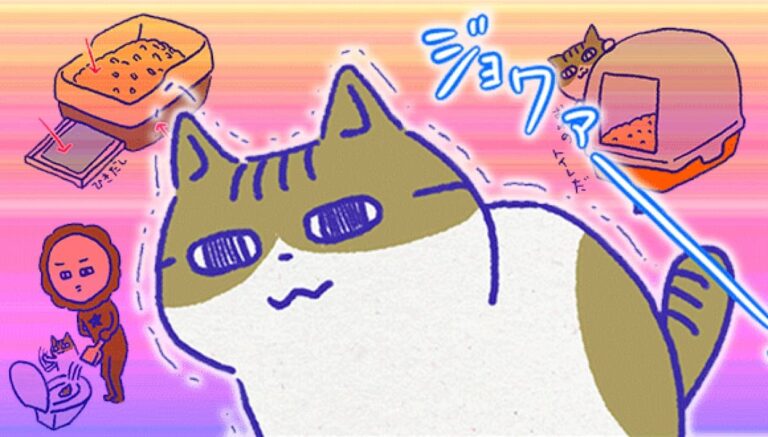 アレな生態系日常漫画「いぶかればいぶかろう」第29回：猫のトイレ事情（トイレ本体・猫砂編）