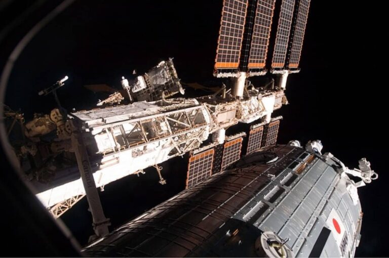人類が宇宙で子供を作れる日が来るかも。マウス実験で受精卵の育成に成功（日本研究）