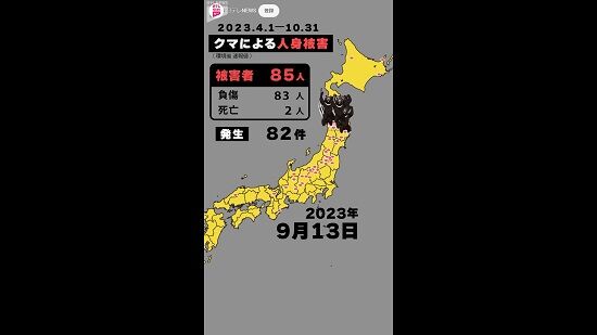 日テレの作ったクマ被害動画、シュールな演出とBGMで妙にクセになると話題にｗｗｗｗｗ