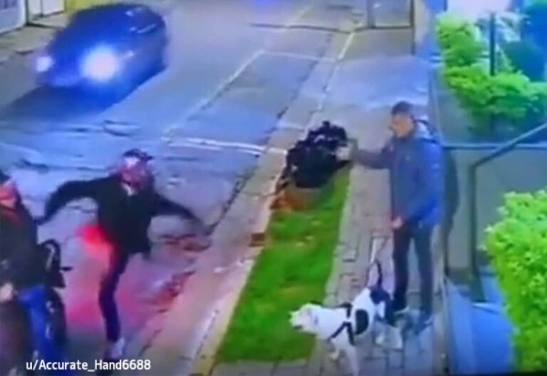 バイク強盗に襲われそうになっている飼い主を身を挺して守った犬