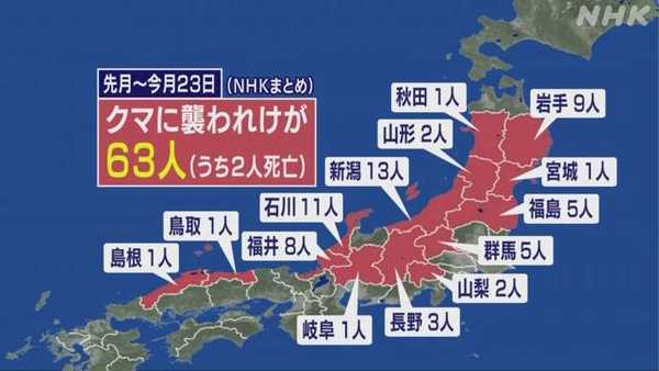 クマvs人間の大戦争、ガチで始まる・・・