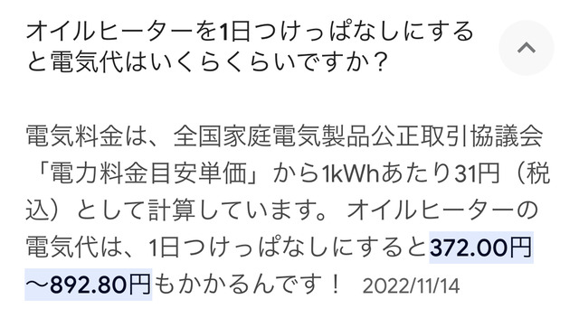 【悲報】オイルヒーターとかいう暖房、ガチで富豪しか使っちゃだめな家電だった