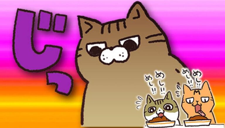 「いぶかればいぶかろう」第17回：朝ごはんの為の3匹の猫たちの目覚ましミッション