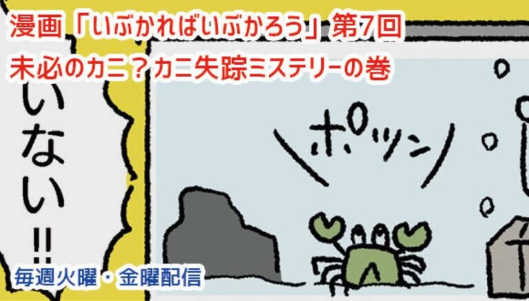 アレな生態系日常漫画「いぶかればいぶかろう」第7回：カニ失踪ミステリーの真相に迫る