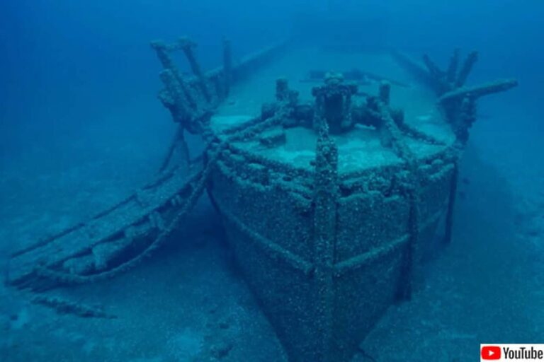 外来種の二枚貝のおかげで行方不明の難破船が128年ぶりに発見される