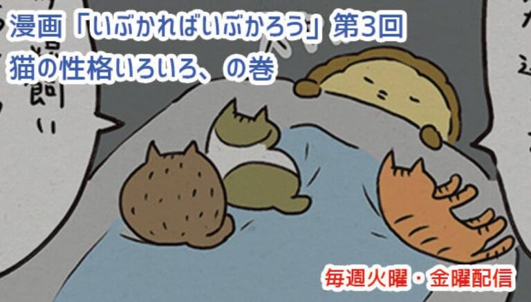 アレな生態系日常漫画「いぶかればいぶかろう」第3回：みんな違ってみんな猫