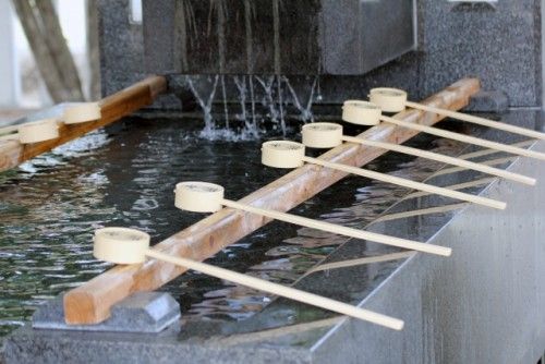 運気が下がる…神社でやってはいけないこと「手水をしない」「お賽銭を投げる」「おみくじを木に結ぶ」