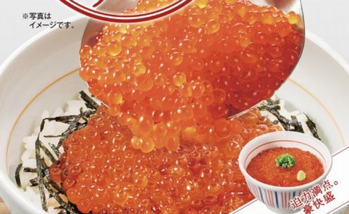 【画像】なか卯さん、写真詐欺なんかじゃない『真の超大盛りいくら丼』を提供してしまう　→　お前らの想像の10倍以上は豪快に超大盛りだったｗｗｗｗ