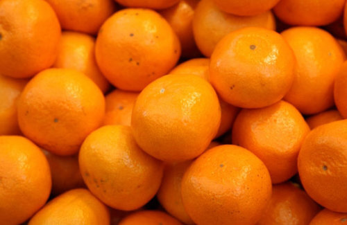 【怖すぎ】中国で、大量廃棄された「柑橘類」に近づいた3人が突然倒れて死亡・・・