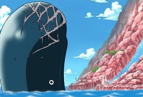 【マジ注意】「砂浜を歩いてたらデカいクジラの骨を発見！ウキウキで持ち帰った」　→　無許可で違法になる模様…